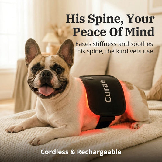Curae™ Pet Red Light Pad