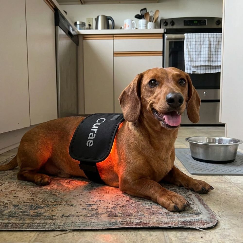 Curae™ Pet Red Light Pad