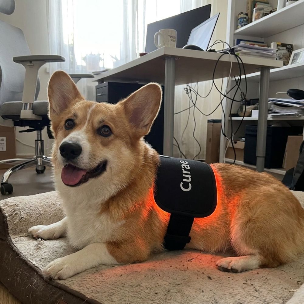 Curae™ Pet Red Light Pad