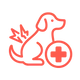 ivdd_2.webp